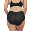Ambra Sheer Smoothies Sheer Waisted Full Brief Black