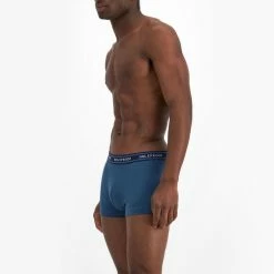 Holeproof 4 Pack Stretch Trunk Blue & Black 10 Holeproof 4 Pack Stretch Trunk Blue & Black -Women's Clothing store online BP622648001 blue blk 2