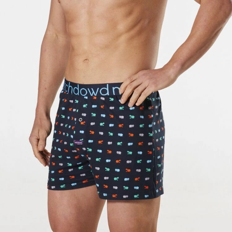 Mitch Dowd Hungry Hippo Printed Cotton Loose Fit Knit Boxer Blue 4 Mitch Dowd Hungry Hippo Printed Cotton Loose Fit Knit Boxer Blue - Image 2