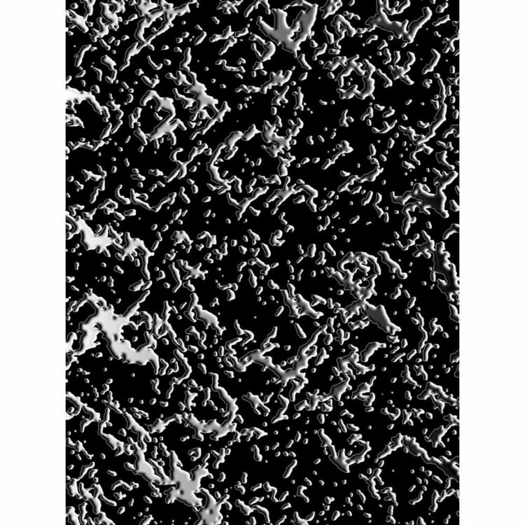 Nancy Ganz Women's Panache Power Lace Waisted Brief Black 4 Nancy Ganz Women's Panache Power Lace Waisted Brief Black - Image 2